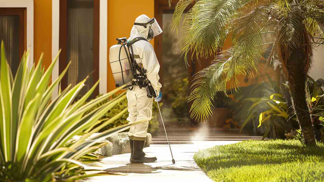 Effective Pest Control Tips for Homeowners