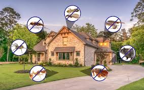Top Signs You Need Professional Pest Control for Your Home