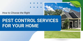 Why Regular Pest Control Is Essential for a Healthy Home