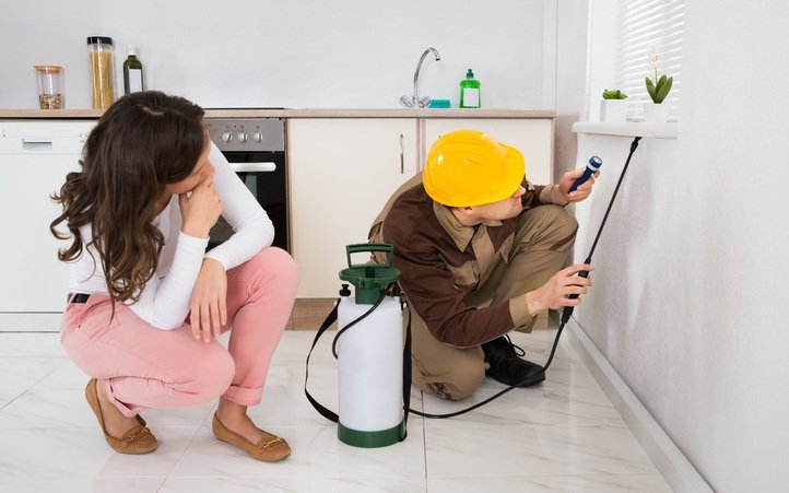 Apartment Pest Control: Smart Pest Control Tips for Small Spaces