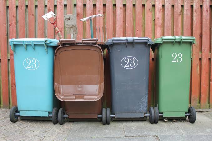 Do Garbage Areas Attract Pests? Causes, Risks & Prevention