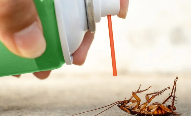 Cockroach Control